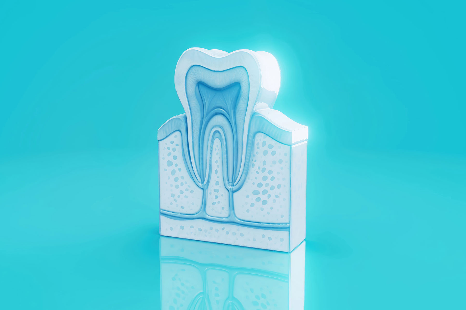 Dentist discussing care with a patient in a clinic