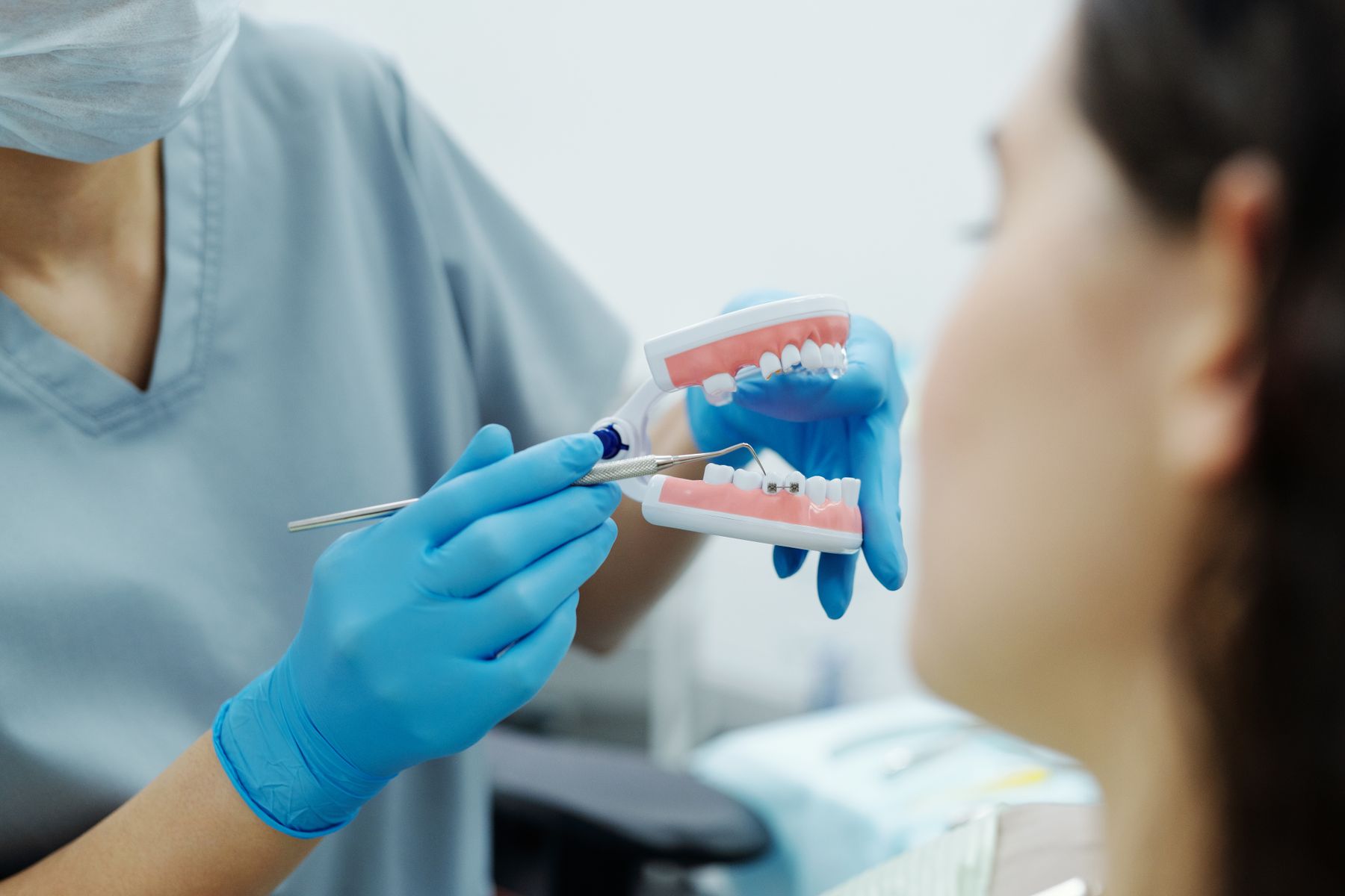 Gloved dental professional holding a model of teeth